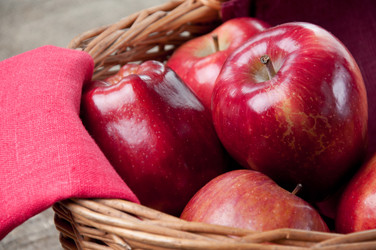 Similar image 1431109