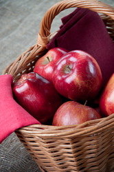 Similar image 1431119