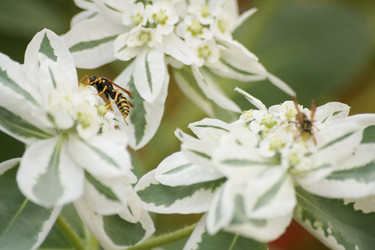 Similar image 1431170