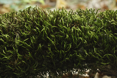 Similar image 1431172