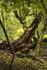 Similar image 1431174