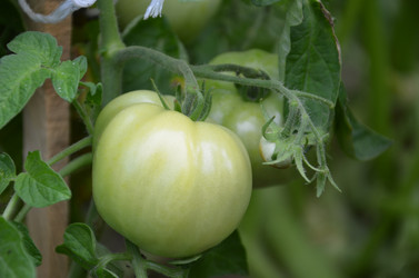 Similar image 1431177