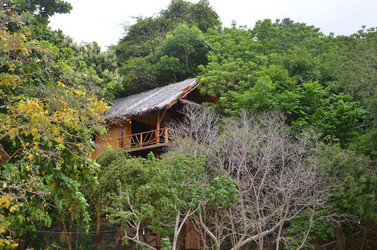 Similar image 1431179