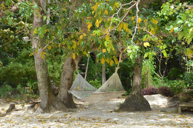 Similar image 1431180