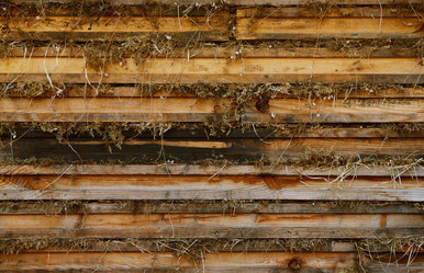 Similar image 1431222