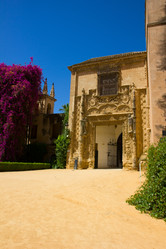 Similar image 1431232