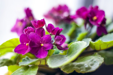 Similar image 1431246