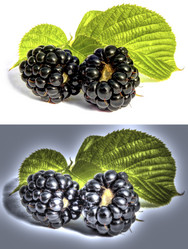 Similar image 1431296