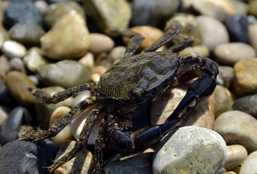 Similar image 1431301