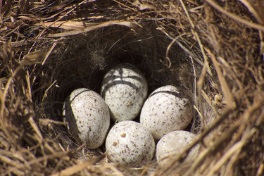 Similar image 1431304