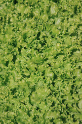 Similar image 1431305