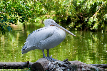 Similar image 1431316