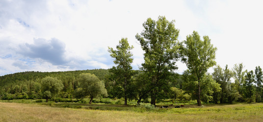 Similar image 1431342