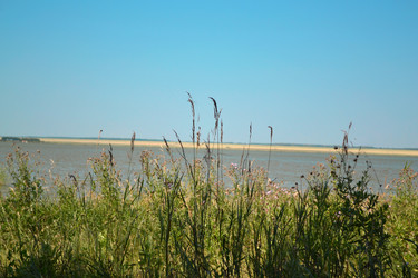 Similar image 1431350