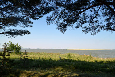 Similar image 1431351