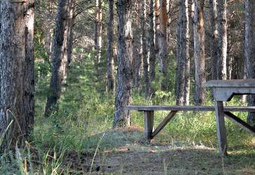 Similar image 1431352