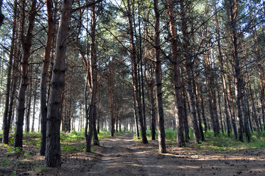 Similar image 1431354