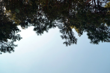 Similar image 1431355