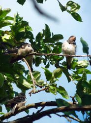 Similar image 1431360