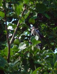 Similar image 1431361