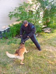 Similar image 1431362