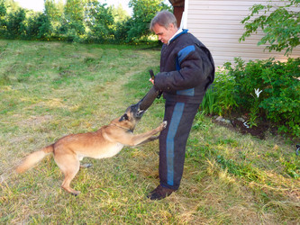 Similar image 1431363