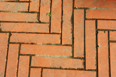 Similar image 1431367