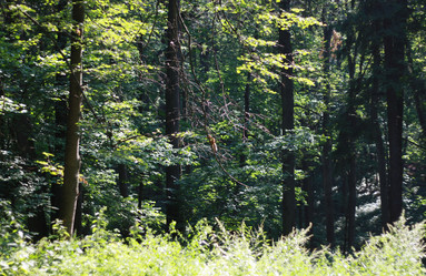 Similar image 1431368