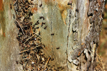 Similar image 1431387