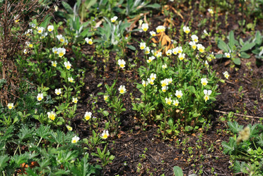 Similar image 1431388