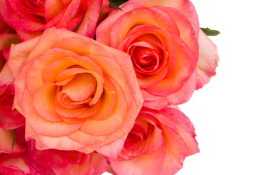 Similar image 1431393