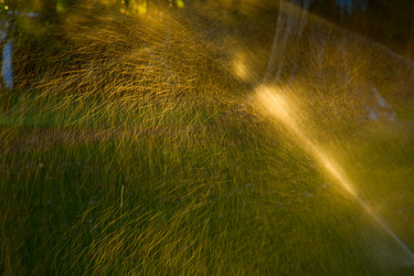 Similar image 1431394