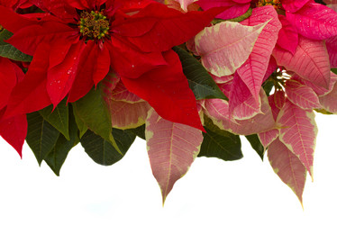 Similar image 1431409