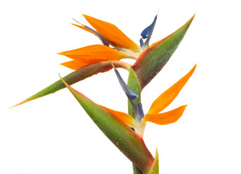 Similar image 1431410