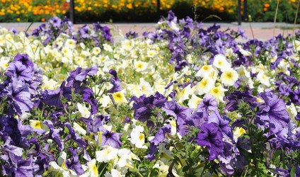 Similar image 1431449