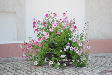 Similar image 1431454