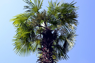 Similar image 1431512