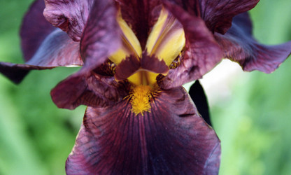 Similar image 1431519