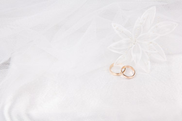 Similar image 1431571