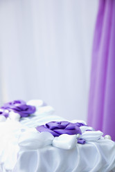 Similar image 1431572