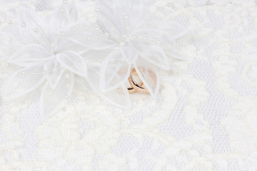 Similar image 1431582