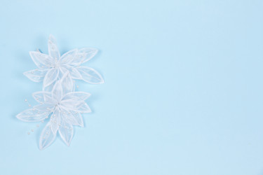 Similar image 1431591