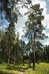 Similar image 1431597