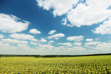 Similar image 1431599