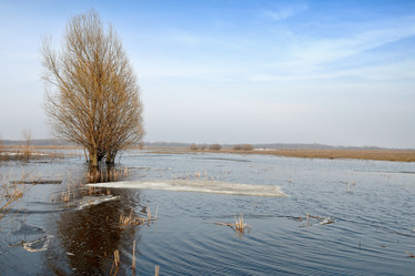 Similar image 1431607