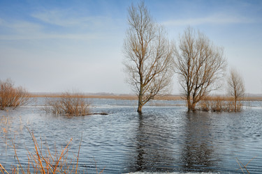 Similar image 1431608