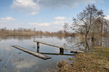 Similar image 1431609