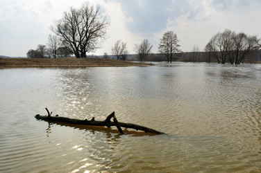 Similar image 1431610