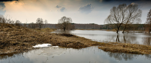 Similar image 1431611