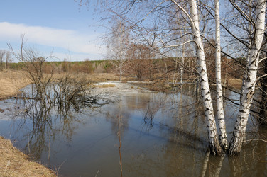 Similar image 1431612